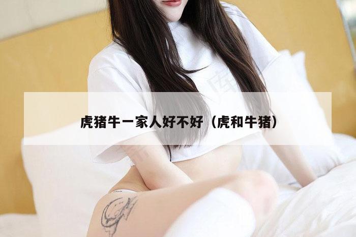 虎猪牛一家人好不好（虎和牛猪）