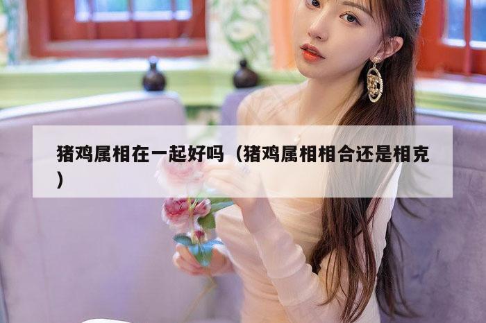 猪鸡属相在一起好吗（猪鸡属相相合还是相克）